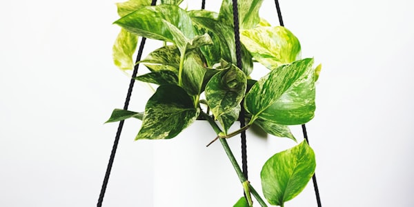 英超联赛曼城对阵利物浦的激烈比赛场景